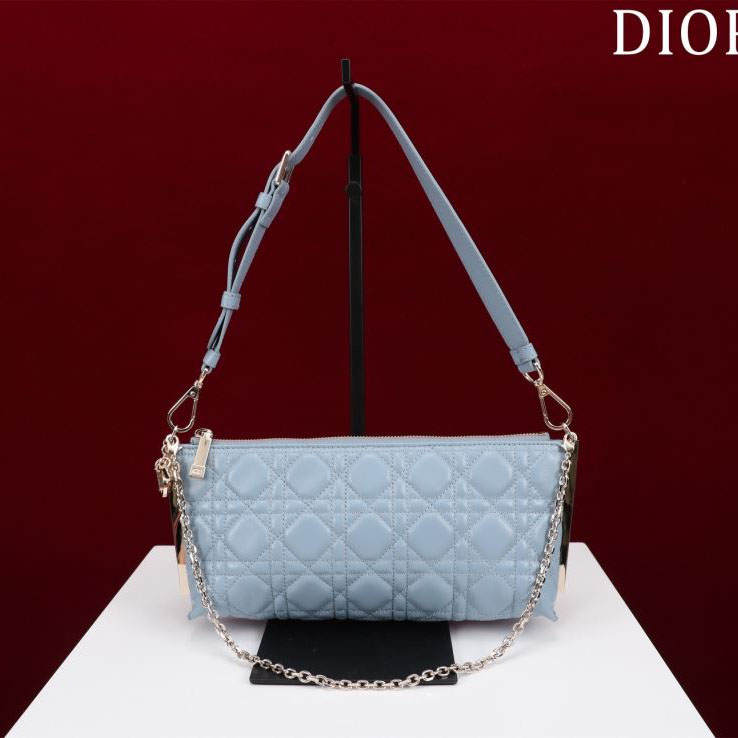 Christian Dior Other Bags - Click Image to Close